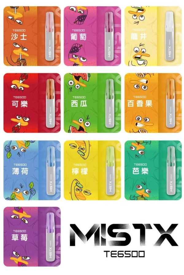 鴨嘴獸拋棄式6500口 / 便宜好用